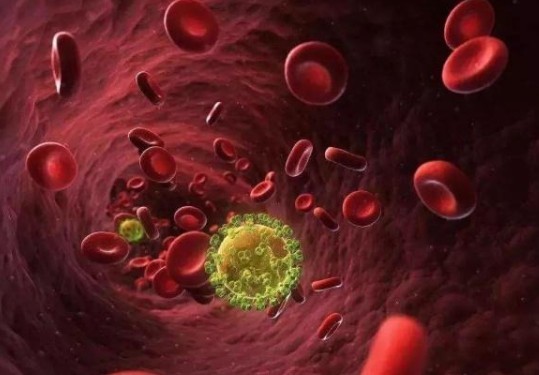 使用微流控整體裝置從血液中分離完整細菌