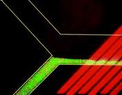 微流控光學(xué)檢測(cè)技術(shù)