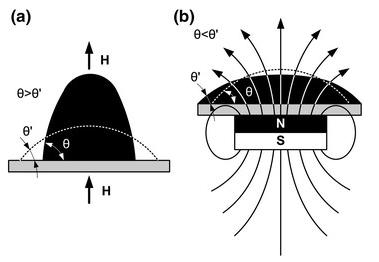 磁保護的示意圖