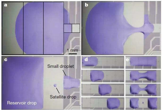 圖三：液滴在MEMS芯片的液流通道中產(chǎn)生、移動和融合
