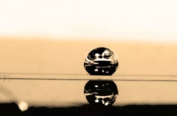 簡化血細胞研究的微型離心機式微流控裝置，解鎖器官芯片新可能