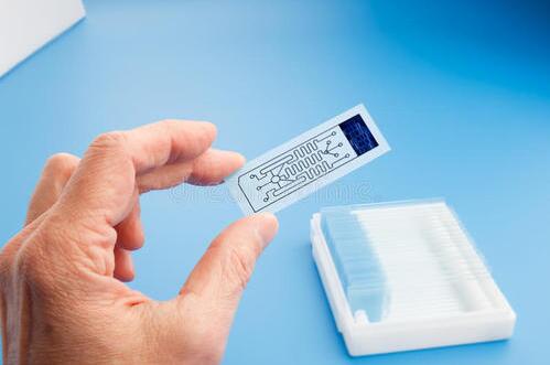 微流控“軟骨”芯片用于關節(jié)炎研究