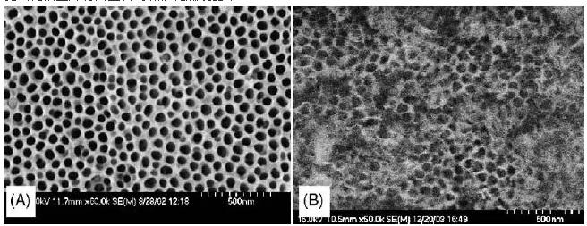 圖2. 陽極氧化微反應器的表面形態：（A）未水熱處理，（B）水熱處理后