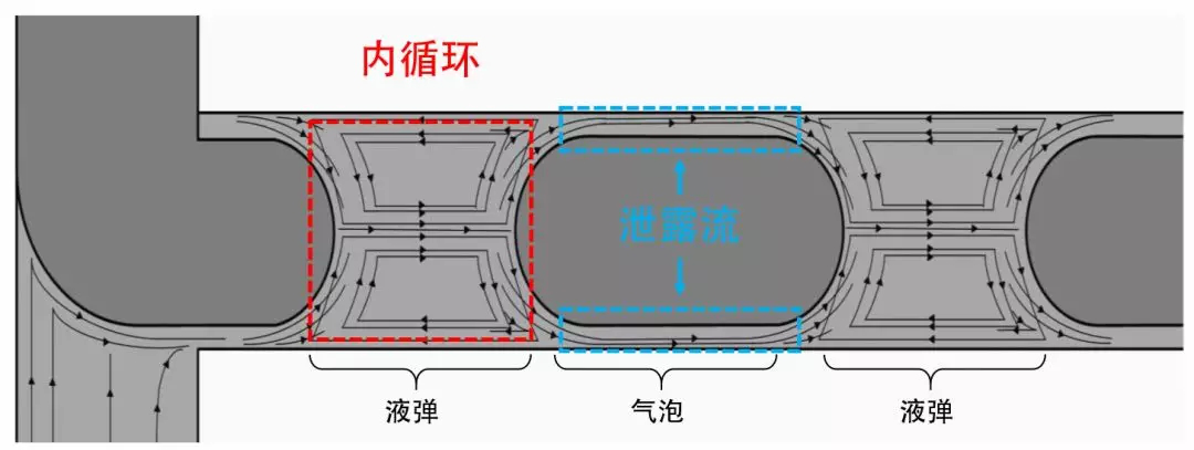 圖4 泄漏流和內循環示意圖