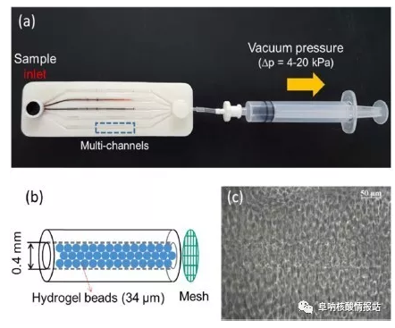 圖1 （a）實(shí)驗(yàn)裝置；（b）微珠填充微通道的示意圖；（c）微珠填充微通道內(nèi)顯微鏡圖像。