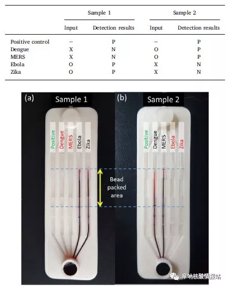 使用微流控芯片進(jìn)行實(shí)際樣品的檢測(cè)的結(jié)果