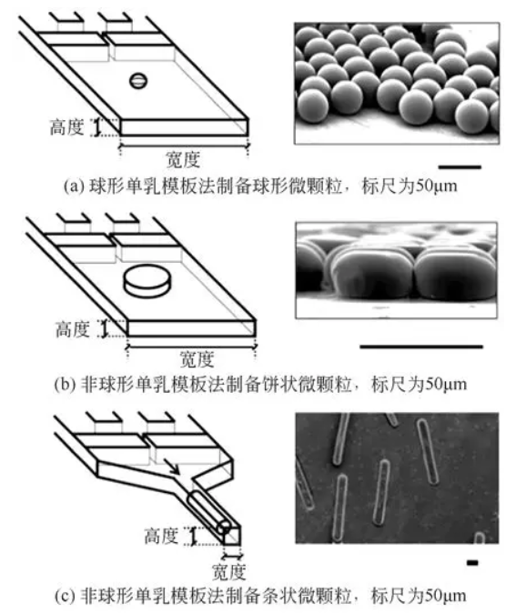 非球形單乳模板法制備非球形微顆粒