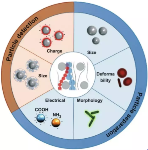 DLD知多少？新加坡NSU綜述帶你了解微流控生物醫學新技術！