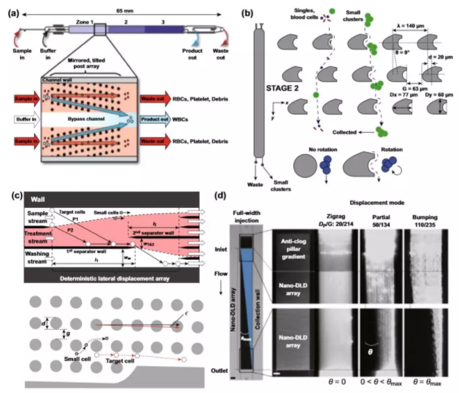 圖3 基于尺寸的DLD分離的應用