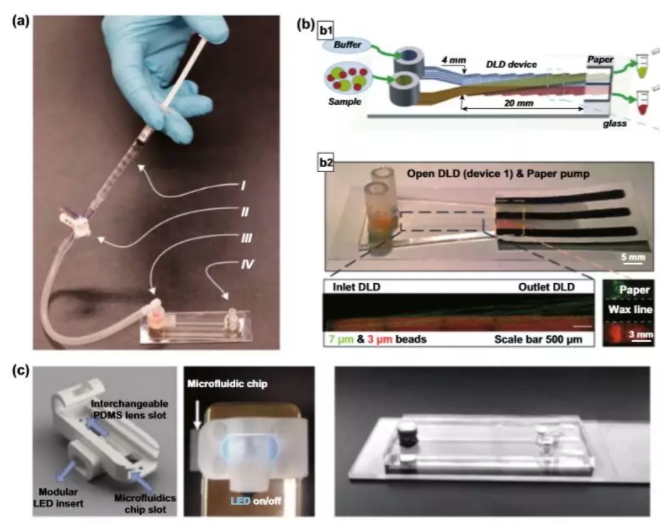 圖5 用于顆粒分離的DLD設置簡化。