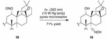 方案9 連續光化學條件下的巴頓反應