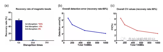 圖4 磁珠的回收率及其對檢測的影響。