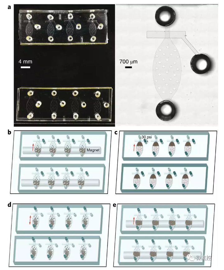 MOWChIP裝置的設計和操作