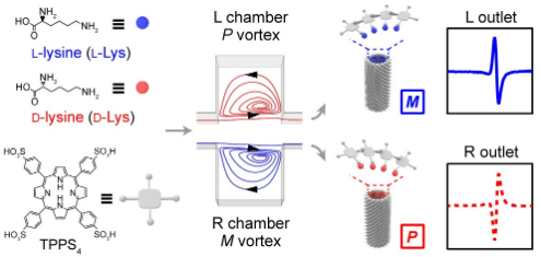 基于微尺度手性流體渦的氨基酸外消旋體定量檢測