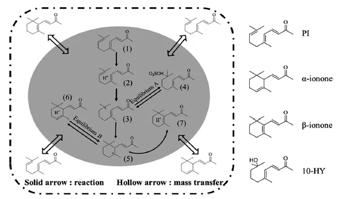 兩相系統中PI的環化
