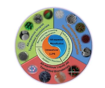 全水微流控細胞仿生技術要點