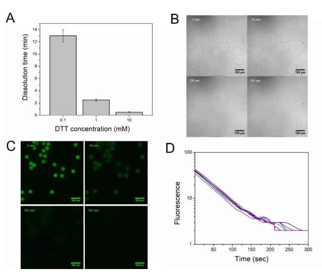 圖2. (A) 微球在不同DTT濃度下的降解時間，(B)在1 mM DTT存在下0, 60, 120,以及180 s時微球在顯微鏡下的狀態，(C)在1 mM DTT存在下0, 60, 120,以及180 s時標記上熒光后的微球的熒光圖像，(D)隨機選擇8個微球的熒光強度在降解過程中隨時間的變化情況