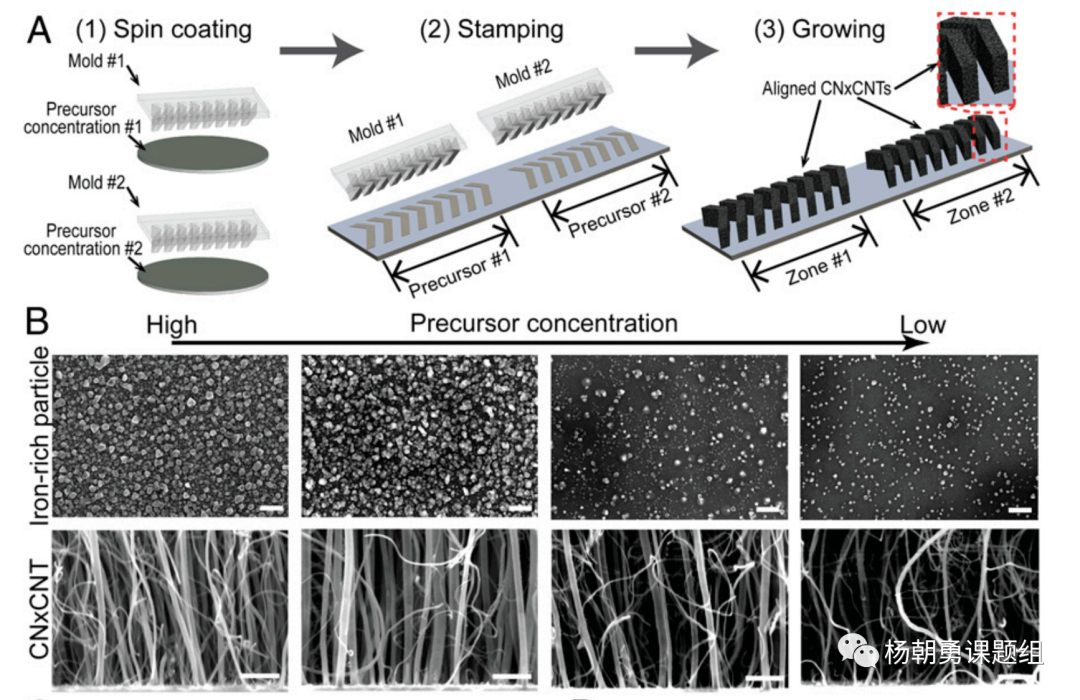圖 2 壓印的方法制作VIRRION及不同內部間隙的碳納米管陣列 圖 2 壓印的方法制作VIRRION及不同內部間隙的碳納米管陣列