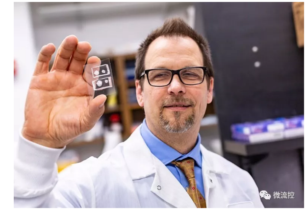 德克薩斯大學達拉斯分校的生物工程師與德克薩斯大學西南醫(yī)學中心的合作者能夠創(chuàng)建角膜組織模型，并利用它們來研究受損眼睛是如何愈合的。