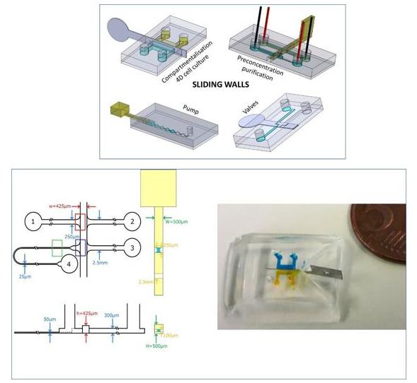 用于DNA預富集的微芯片和滑動壁設計
