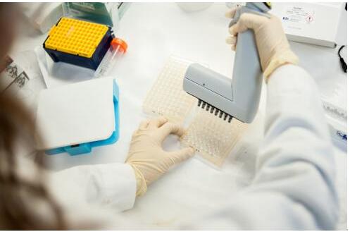 微流控設備用于新冠肺炎抗體測試 微流控設備用于新冠肺炎抗體測試