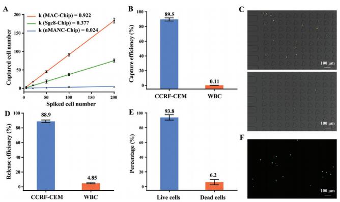 圖3 芯片的細胞捕獲和釋放性能表征 圖3 芯片的細胞捕獲和釋放性能表征