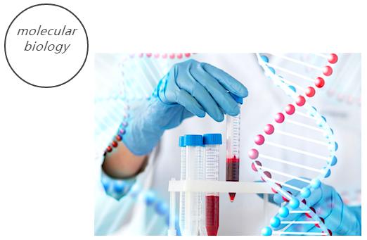 微流控分子生物學(xué) 微流控分子生物學(xué)
