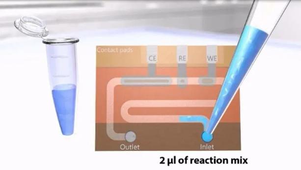 DNA聚合酶鏈反應(yīng) DNA聚合酶鏈反應(yīng)