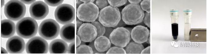 磁珠法核酸提取基本原理 磁珠法核酸提取基本原理