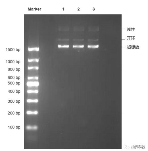 硅羥基磁珠 硅羥基磁珠