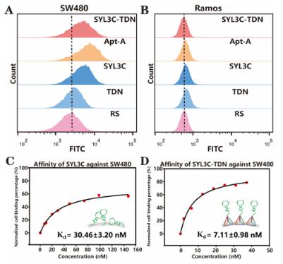 圖2. SYL3C-TDN識別能力的探究