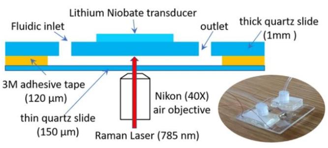 聲波捕獲腔室的設計 聲波捕獲腔室的設計