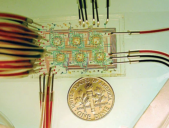 微流控芯片。圖片來(lái)源：Nature 