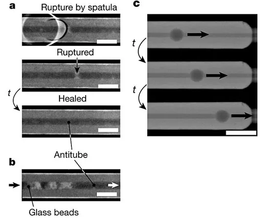 具有“自愈”功能的液體管壁微流體通道。圖片來(lái)源：Nature