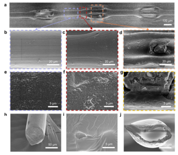 微流控沙漏型微纖維形態