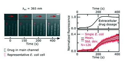 單細胞微流控技術幫助對抗抗生素耐藥性