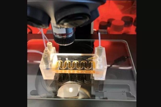 低成本的微流體傳感器用于水質(zhì)監(jiān)測(cè) 低成本的微流體傳感器用于水質(zhì)監(jiān)測(cè)