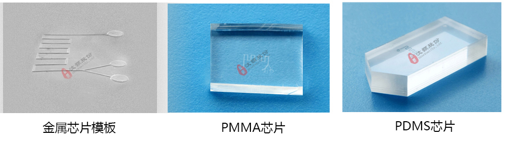 芯片模具 芯片模具