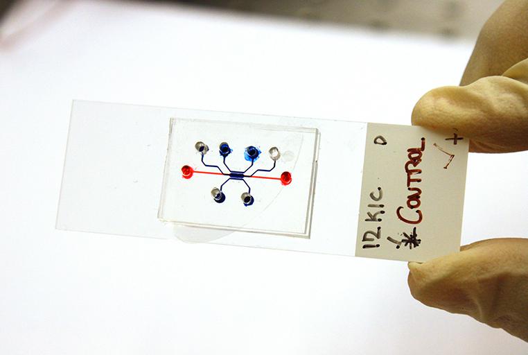 微流控設(shè)備測(cè)試胰腺癌藥物 微流控設(shè)備測(cè)試胰腺癌藥物