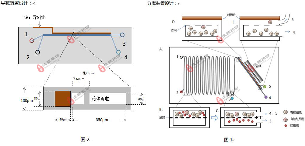 基于微流控平臺的有核紅細胞分析系統委托開發