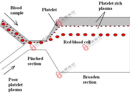 血栓診斷儀器與配套芯片委托開發