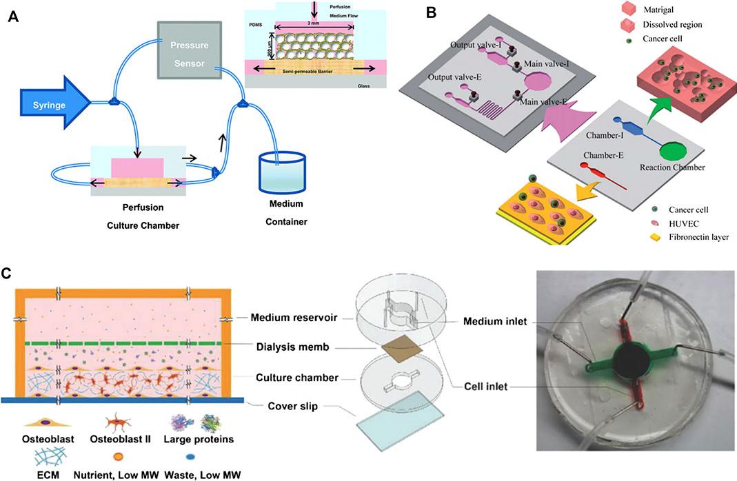 圖1。微流體骨組織模型的例子 圖1。微流體骨組織模型的例子