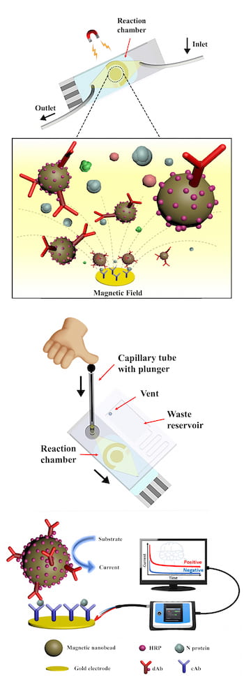 微流控芯片簡化了COVID-19檢測，可在55分鐘或更短時間內在手機上提供結果