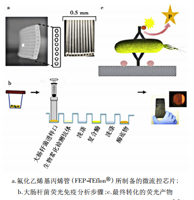 微流控檢測.jpg 微流控檢測.jpg
