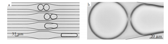 微液滴.jpg 微液滴.jpg