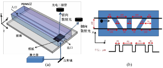 微流控芯片構成.jpg 微流控芯片構成.jpg