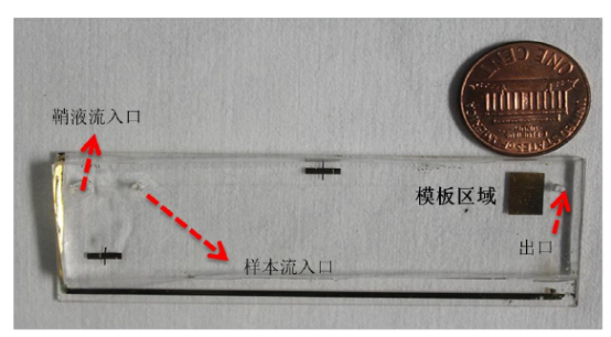 微流控芯片.jpg 微流控芯片.jpg