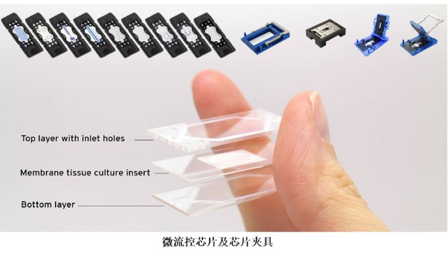 1662341324820551.png 圖片4.png