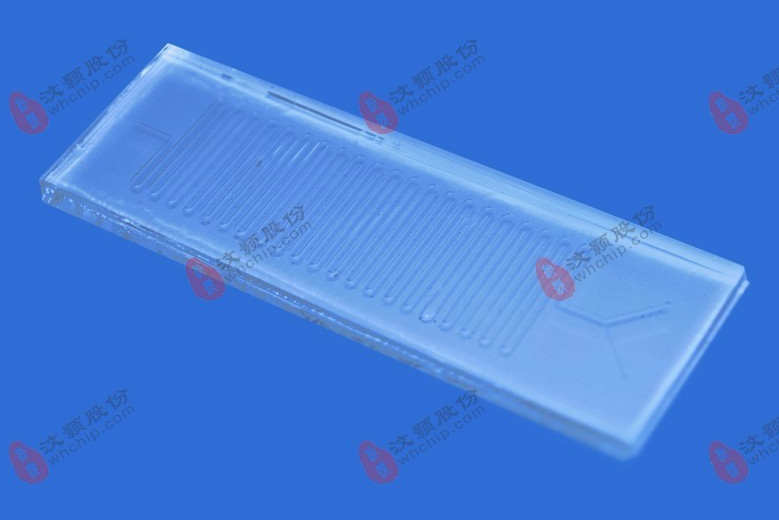 1677721872429626.png 2.png