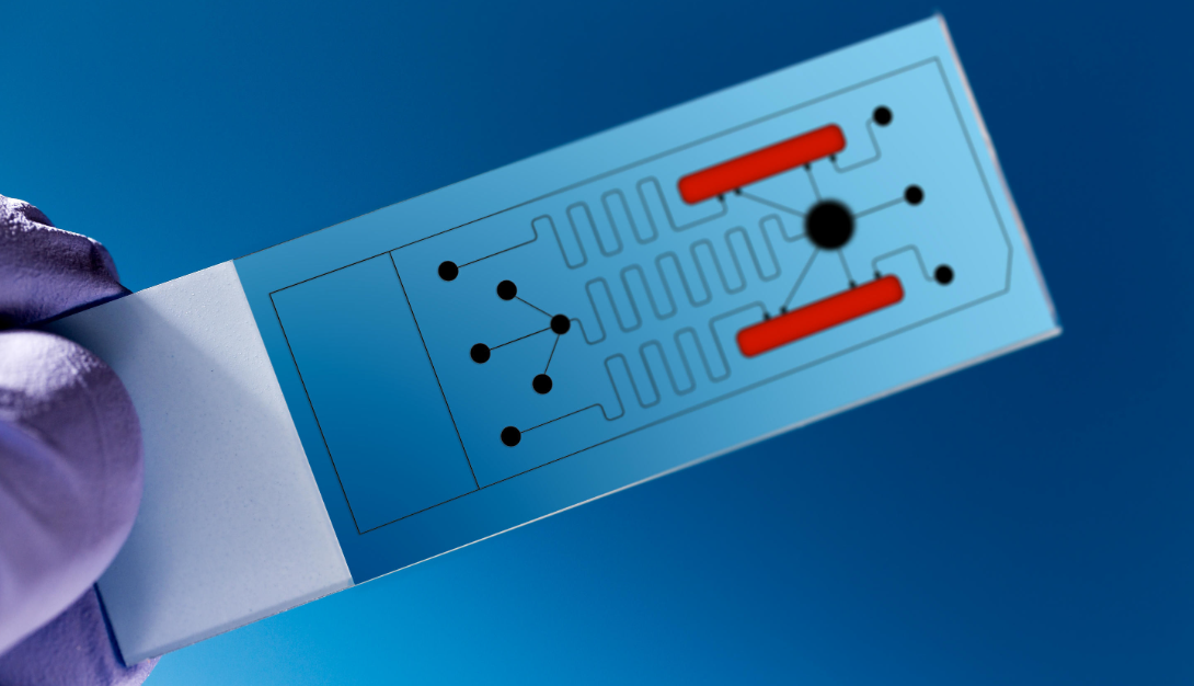 1688604324745831.png 微信截圖_20230706084511.png